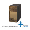 Bronze urn with ornate front