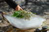 Urne de glace