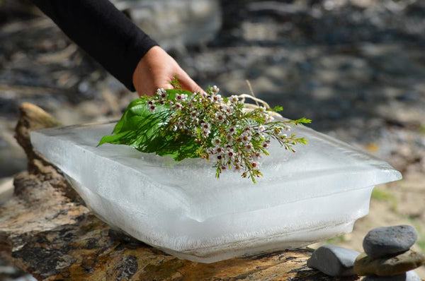 Urne de glace