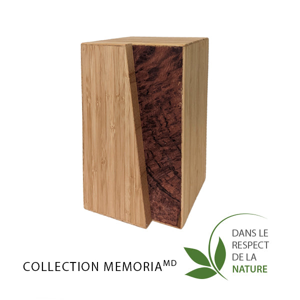 Urne bambou et noyer noir