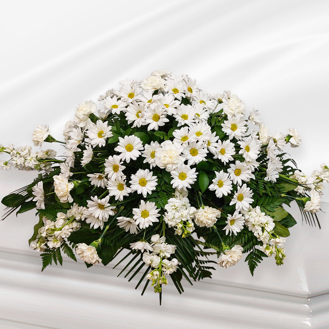 Sérénité - Main Image