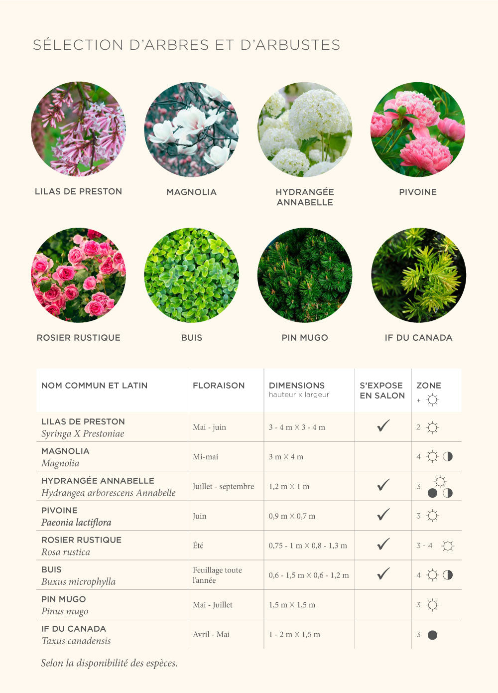 Botanical urn