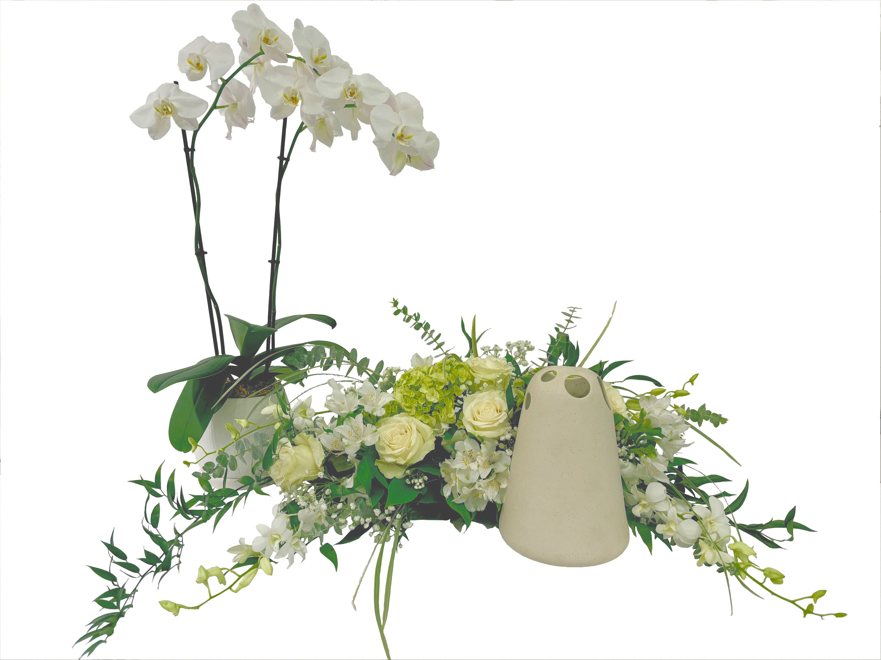 Le jardin d'urne en blanc avec orchidée