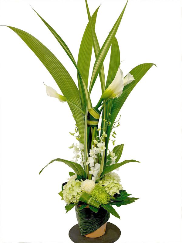 Le calla et orchidées