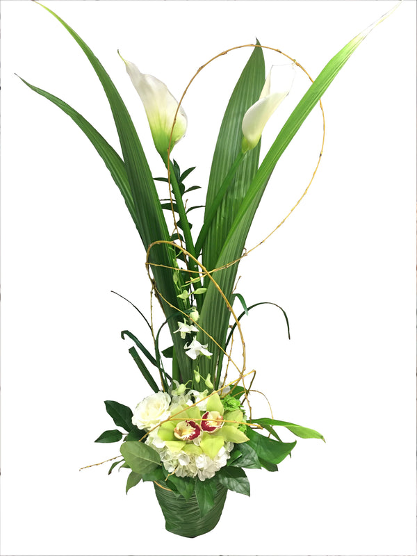 Le mouvement élancé