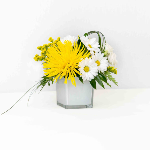 Assortiment Lumière - Cube fleuri