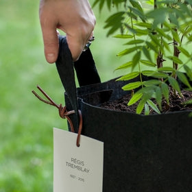 Botanical urn
