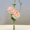 Ranunculus for niche vase 