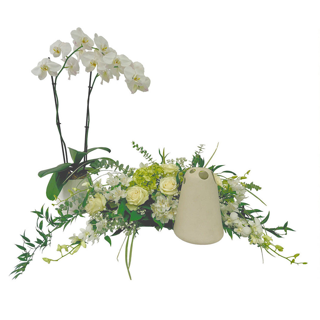 Le Jardin d'urne en blanc