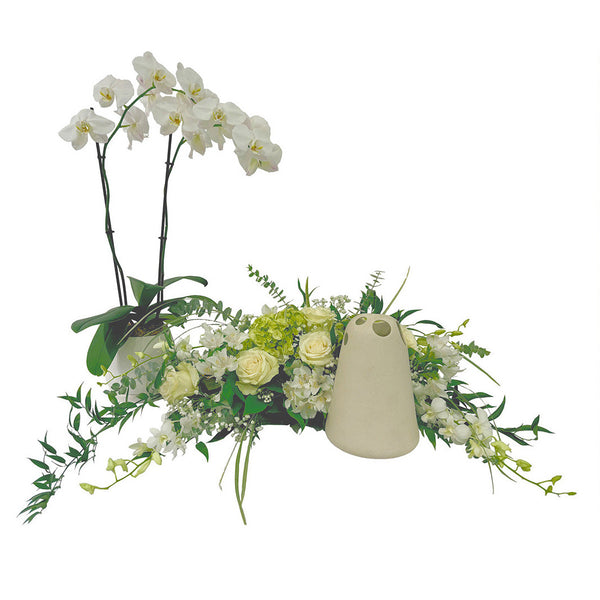 Le Jardin d'urne en blanc