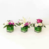 Benevolence Assortment - Flower Trio