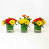 Vibrant Assortment - Flower Trio