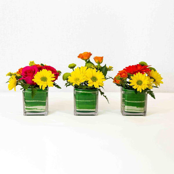 Vibrant Assortment - Flower Trio