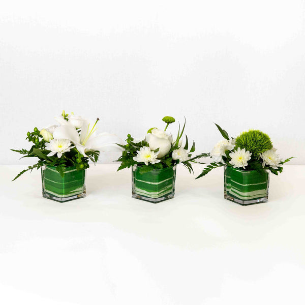 Calm Assortment - Flower Trio